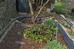 2019-04-09-004