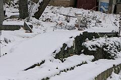 2024-01-19-002
