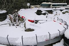 2024-01-19-009